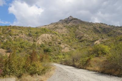 Прикрепленное изображение: A58DSC04292.jpg